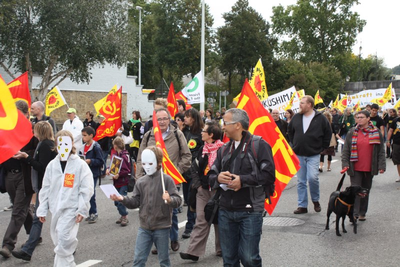 Demo Atom Fukushima Flaggen Maske Anzug