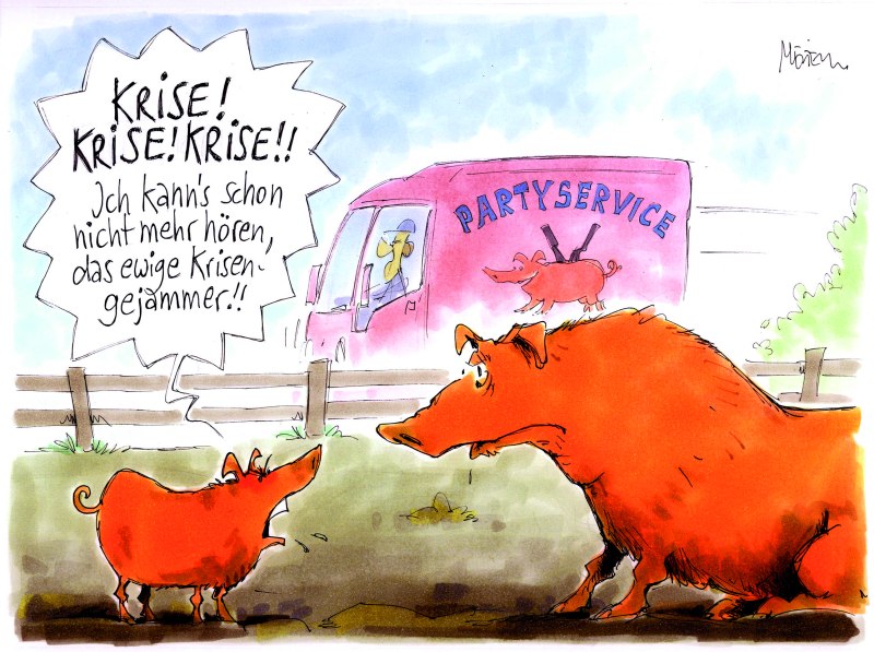 Karikatur Schwein Krise