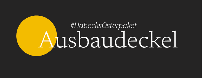 Ausbaudeckel_01