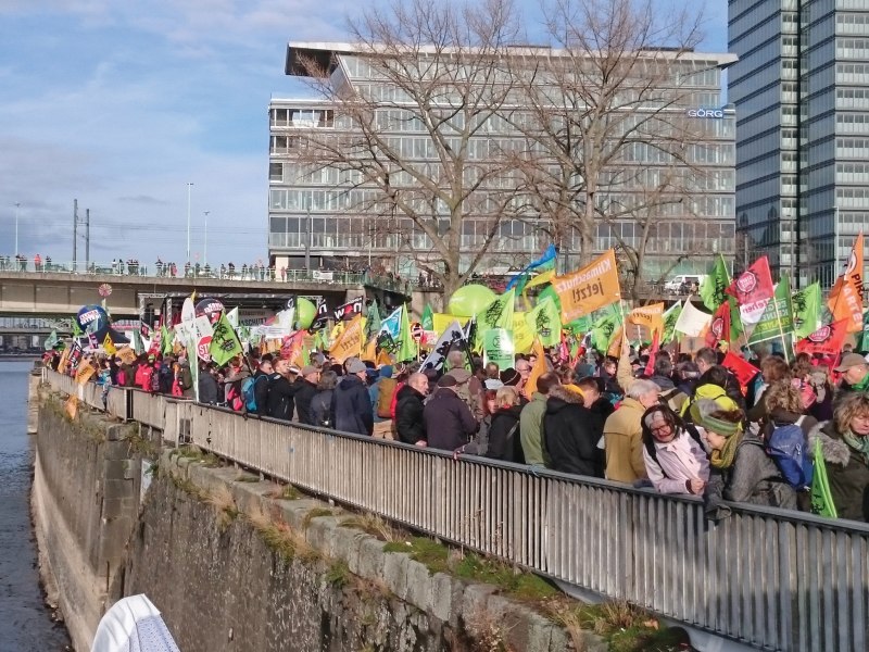 Demo Klimaklage Fahnen